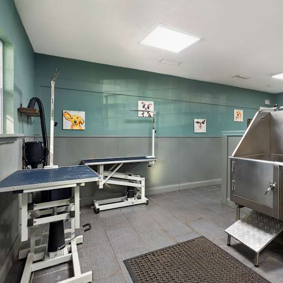 community pet washing area and tub at seven lakes at carrollwood in tampa, florida.