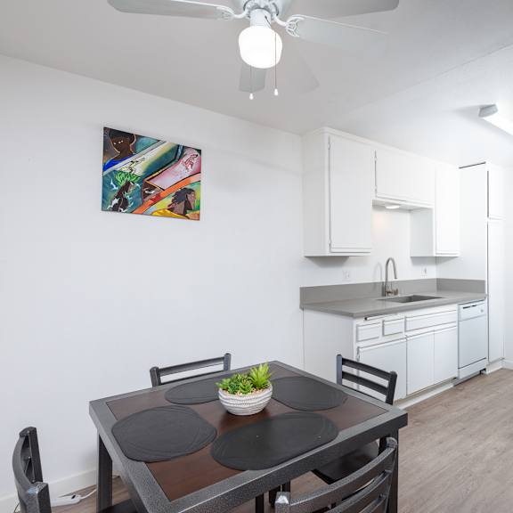 kitchen and dining table