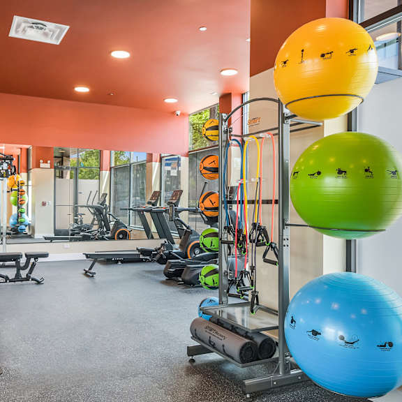 a gym with a variety of equipment including a blue exercise ball with bird decals.
