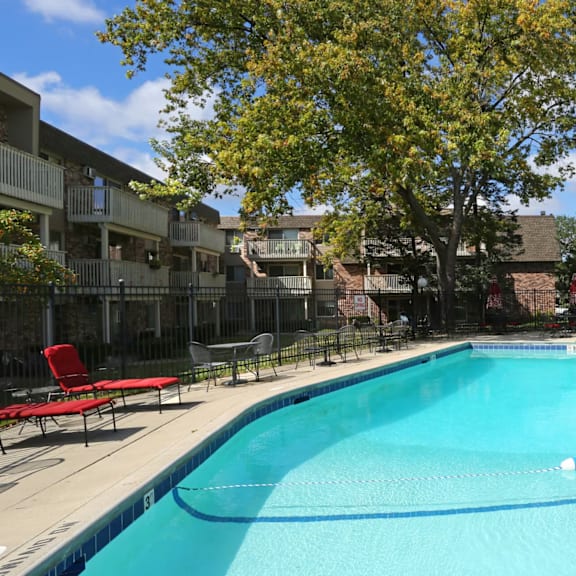 our apartments have a large pool with chairs and a tree