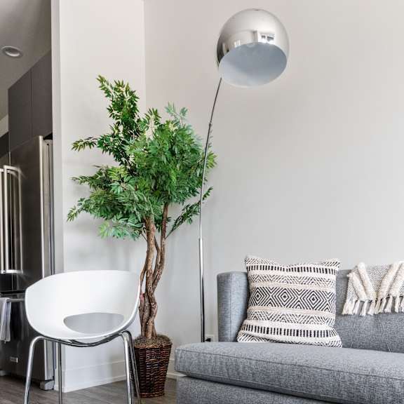 a part of the living room with a gray couch, glass coffee table, floor lamp, and huge plant in the corner