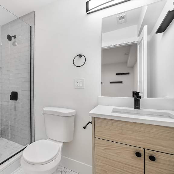 a modern bathroom with a walk-in shower and a toilet.