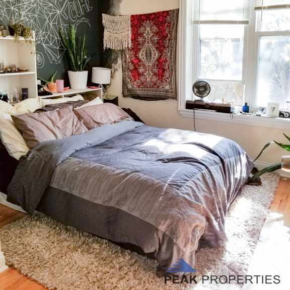 a bedroom with a bed and a chalkboard wall and two windows