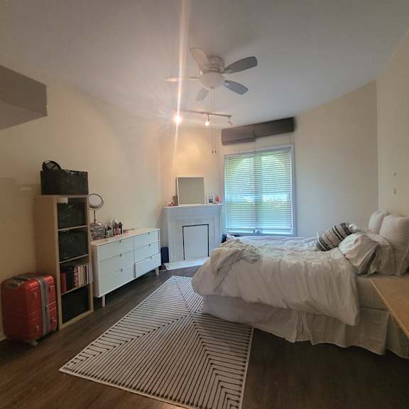 a bedroom with a bed, dresser, and a ceiling fan.