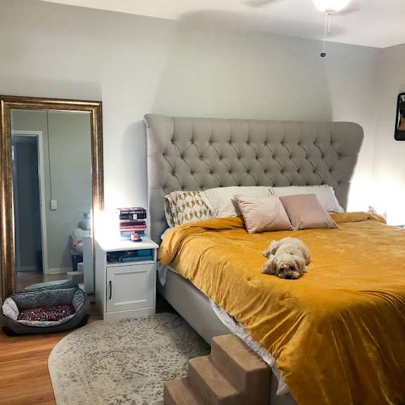 a bedroom with a bed, a mirror, and a dog.