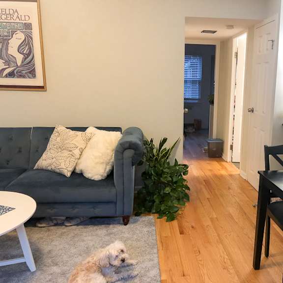 a dog is sitting on a rug in a living room.
