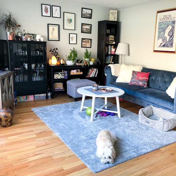 a dog is sitting on a rug in a living room.