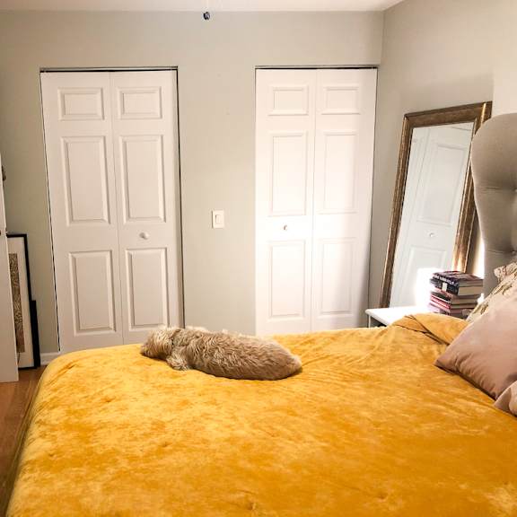 a white fluffy dog is laying on a yellow bed.