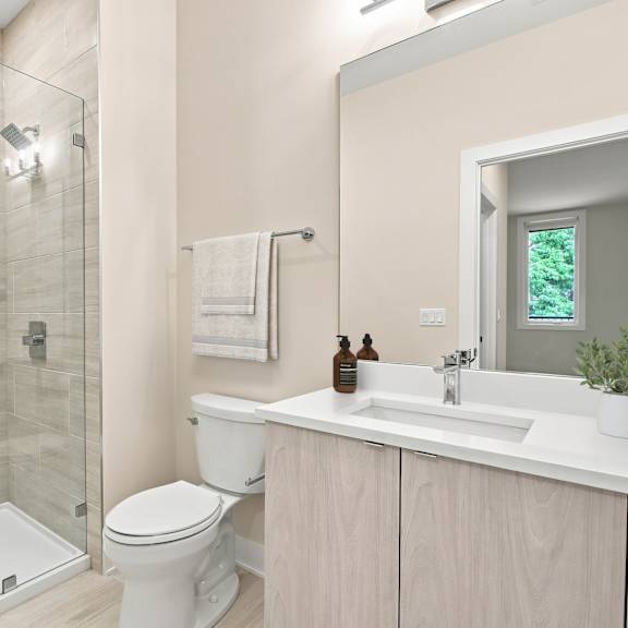 a bathroom with a toilet, sink, and walk-in shower.