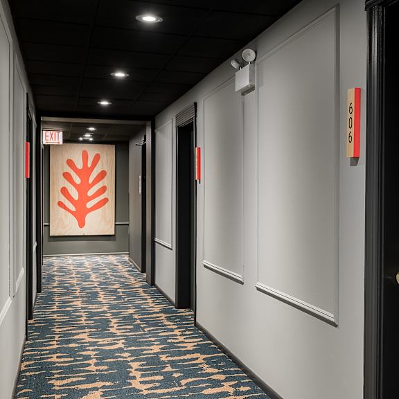a hallway with a carpeted floor and doors on both sides.