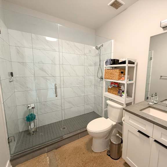a bathroom with a white toilet, a sink, and a walk-in shower.