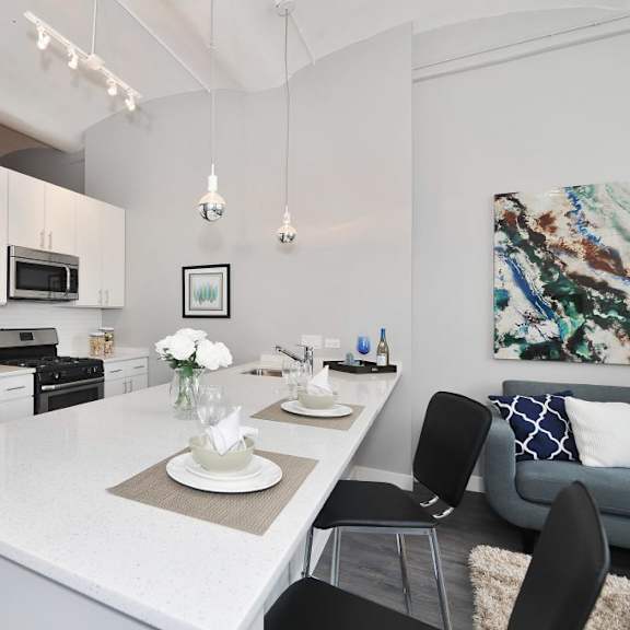 library lofts south loop chicago  1 bed - 1 bath