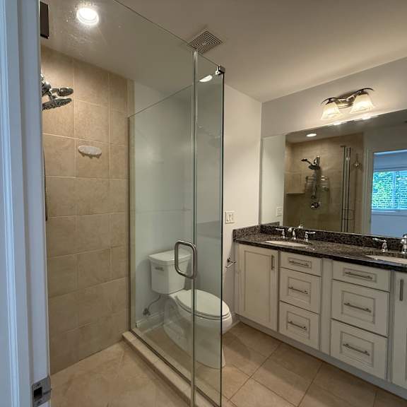 a bathroom with a walk-in shower and a toilet.