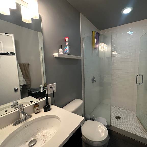 a bathroom with a sink, toilet, and shower.