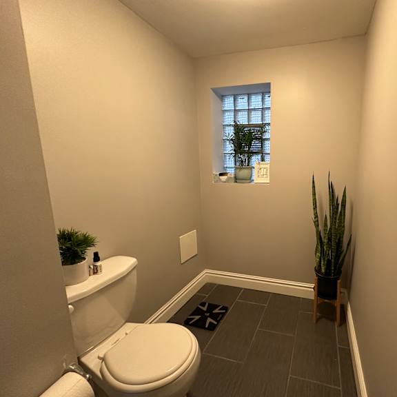 a bathroom with a toilet, sink, and a plant.