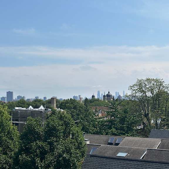 a city skyline is visible through a dense collection of trees.