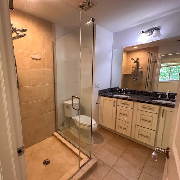 a bathroom with a walk-in shower and a toilet.