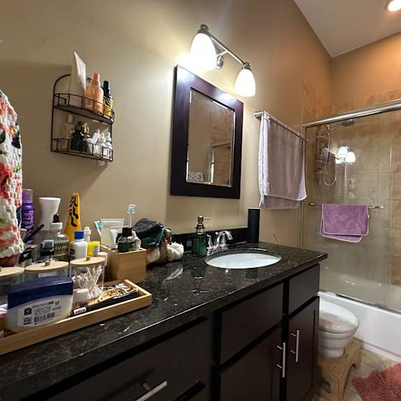 a bathroom with a sink, mirror, and shower.