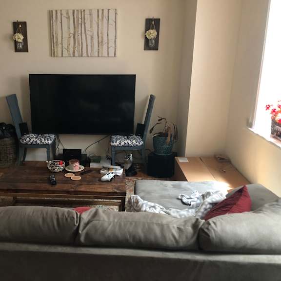 a living room with a grey couch and a black television.
