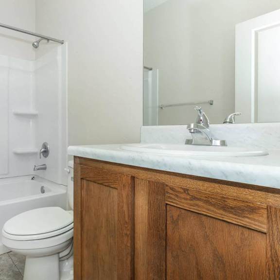 a bathroom with a sink and a toilet and a bath tub