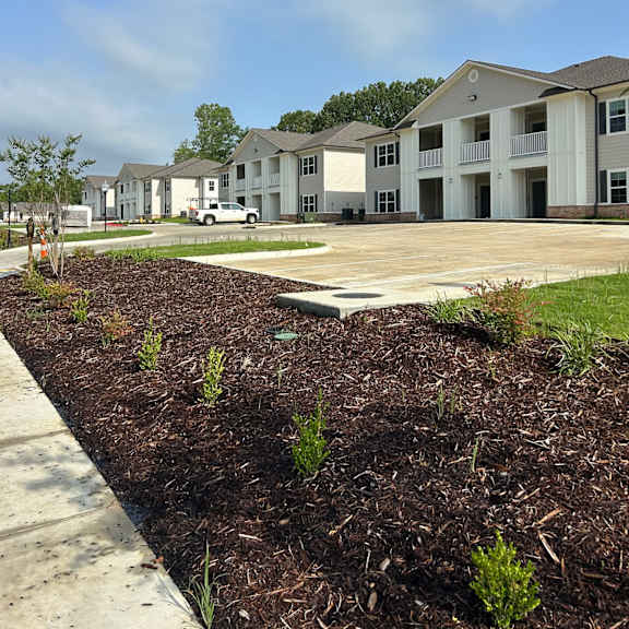 a row of houses with a sidewalk and landscaping in front.