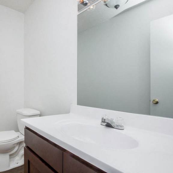 a bathroom with a sink and a toilet and a mirror