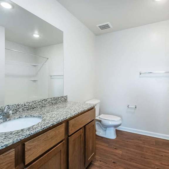a bathroom with a toilet and a sink and a mirror