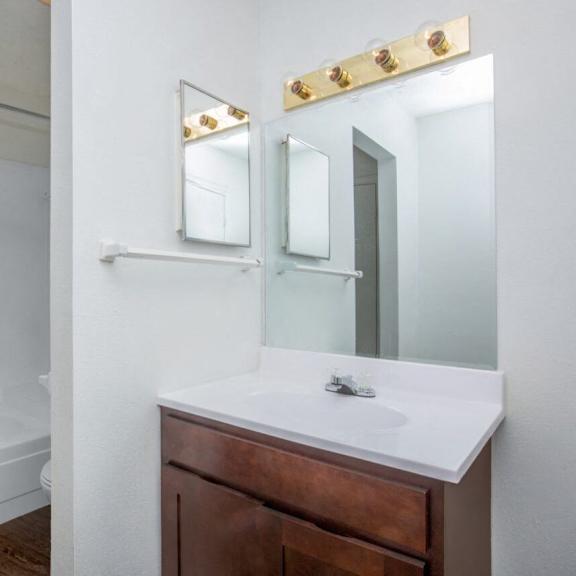 a bathroom with a sink and a shower and a mirror