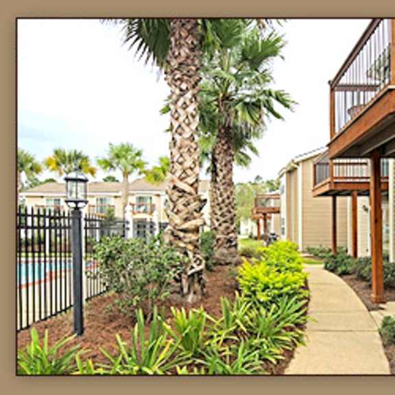 a palm tree stands in a garden next to a building.