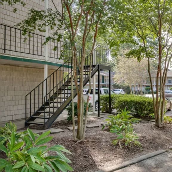 a tree-lined courtyard with a building in the background.