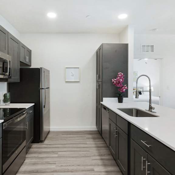 a kitchen with black cabinets and appliances.