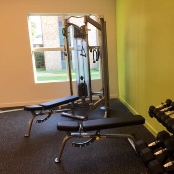 a gym with a row of dumbbells and a bench.