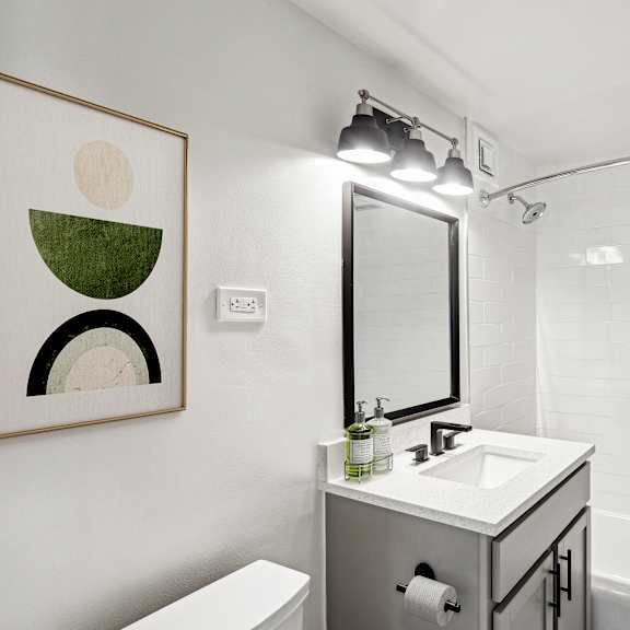 Thumbnail 12 of 13 a bathroom with a sink and a mirror and a shower