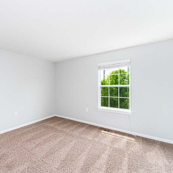 a room with a carpeted floor and a window showing greenery outside.