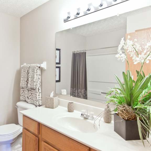 a bathroom with a sink and a toilet and a mirror