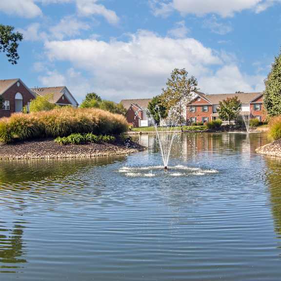pond