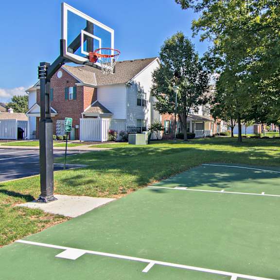 basketball court