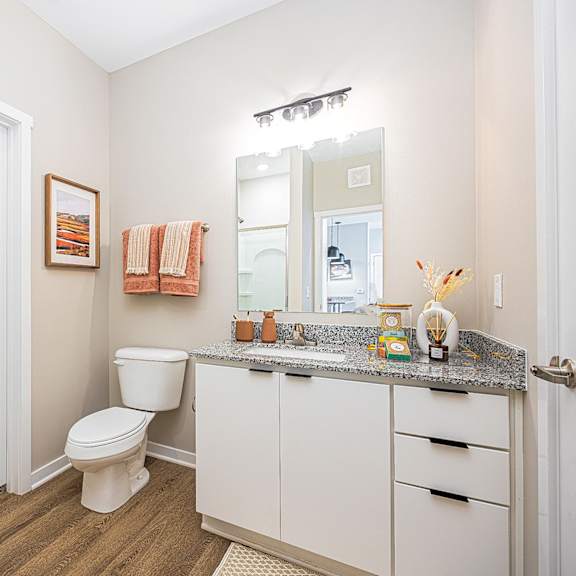 a bathroom with a toilet and a sink and a mirror