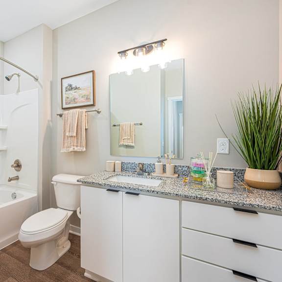 a bathroom with a sink toilet and a bath tub