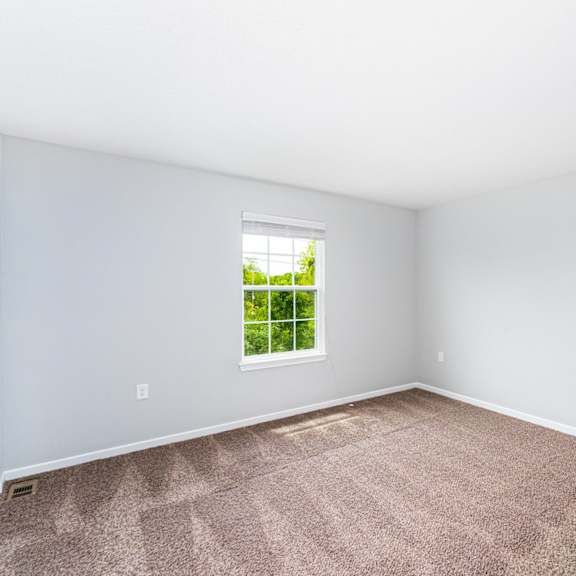 a room with a carpeted floor and a window showing greenery outside.