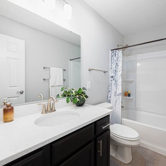 a bathroom with a sink and a shower and a toilet