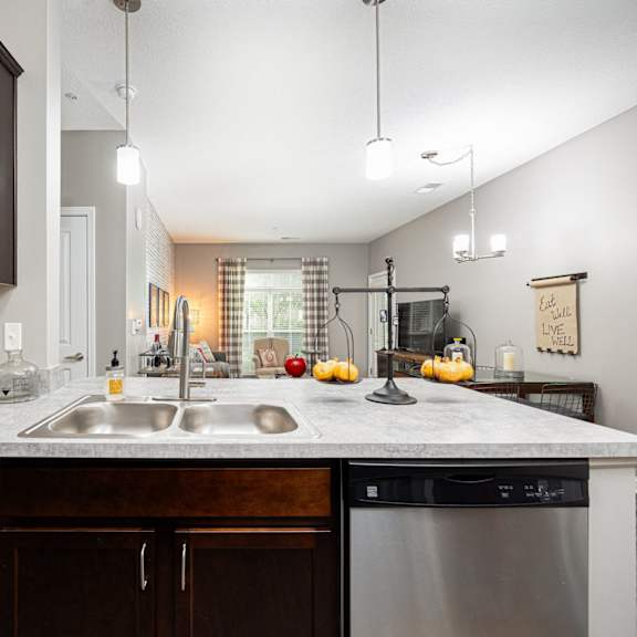 a kitchen with a sink and a dishwasher