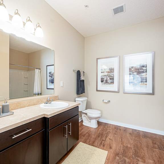 a bathroom with a sink and a toilet and a mirror