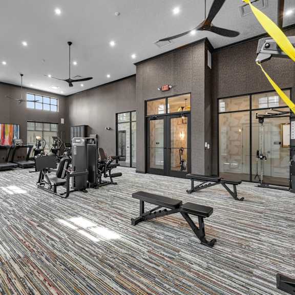 a gym with a variety of equipment including treadmills, weights, and a bench press.