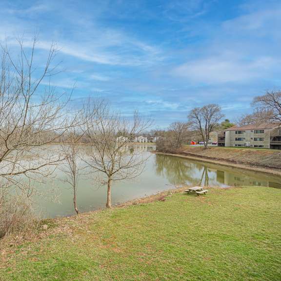 a river flows through a grassy area with trees on the left and a building on the right.