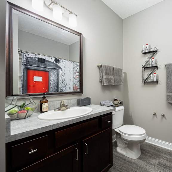 a bathroom with a mirror and a sink and a toilet