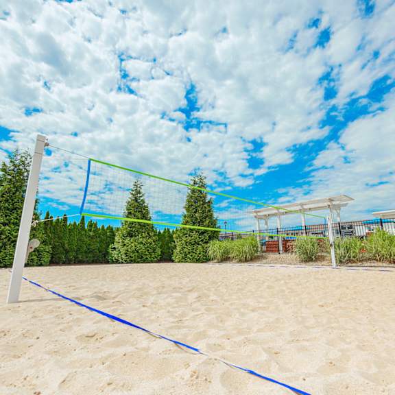 a volleyball court on the sand in a park with trees