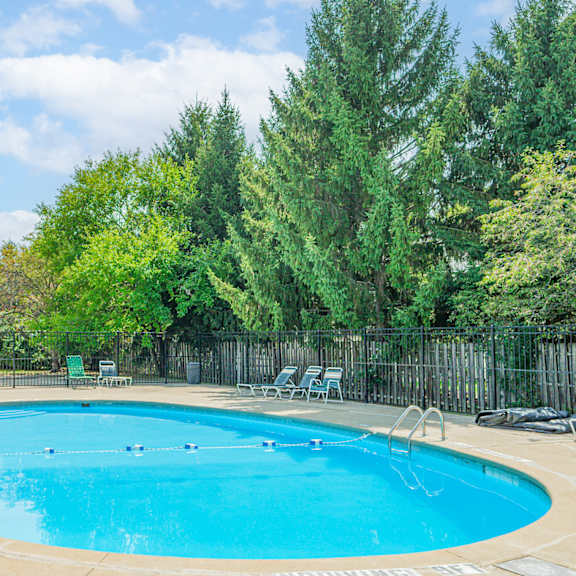 our apartments have a resort style pool with trees