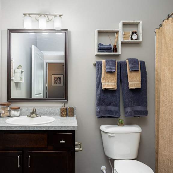 a bathroom with a toilet sink and mirror and towel racks