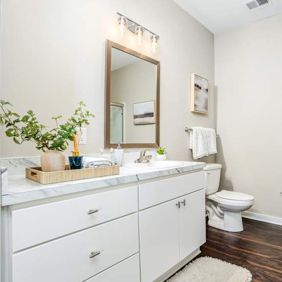 a bathroom with a toilet and a sink and a mirror
